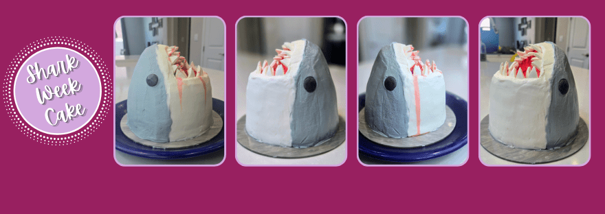 Shark Cake Oh Ha Ha!